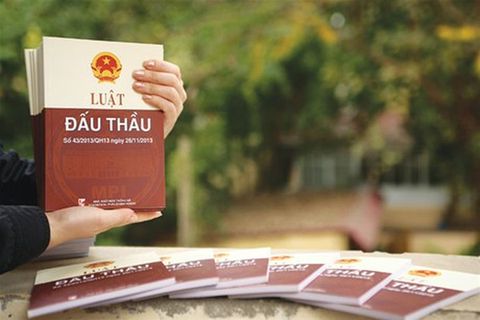 chua co chung chi dau thau duoc tham gia vao to chuyen gia1551352149